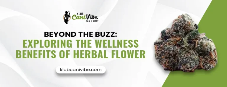 Benefits of Herbal Flower
