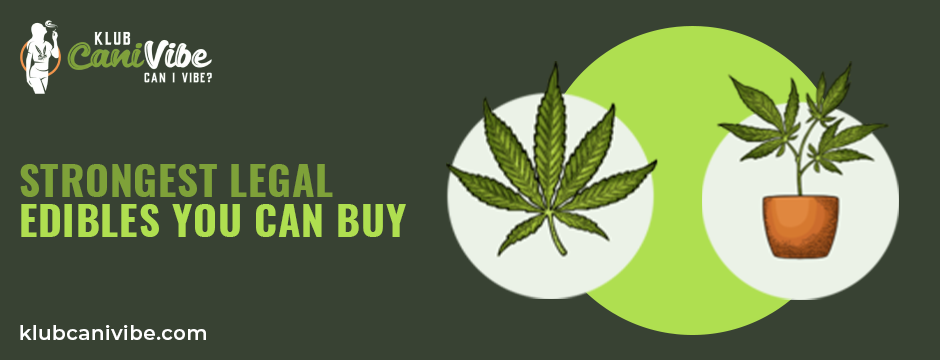 strongest legal edibles you can buy